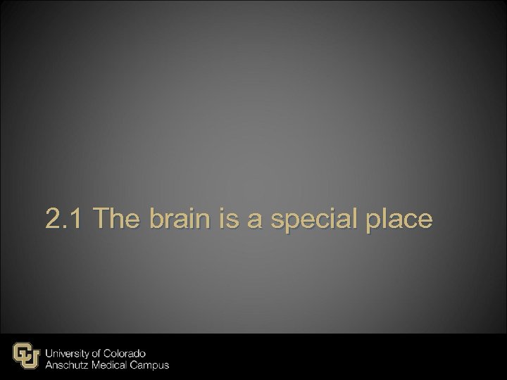 2. 1 The brain is a special place 