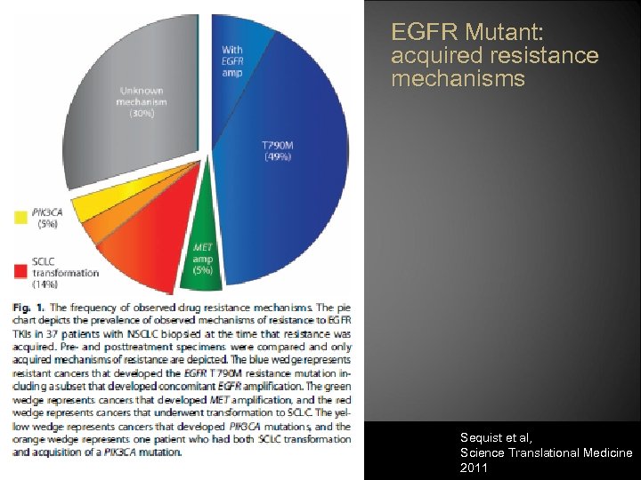 EGFR Mutant: acquired resistance mechanisms Sequist et al, Science Translational Medicine 2011 