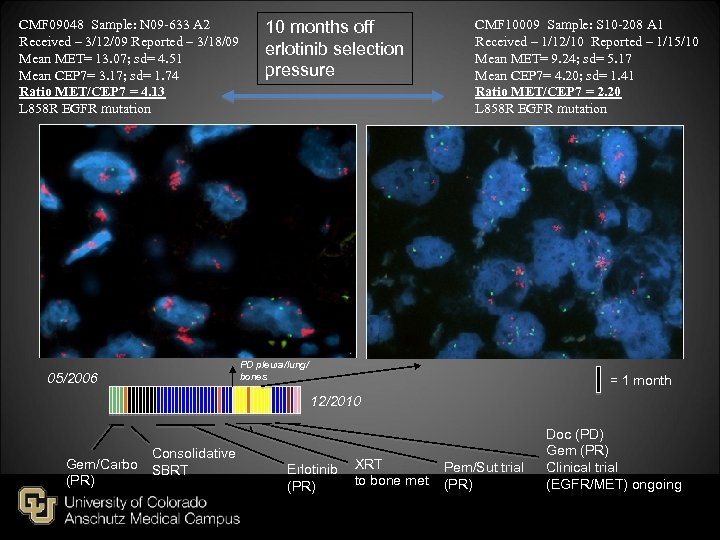 CMF 09048 Sample: N 09 -633 A 2 Received – 3/12/09 Reported – 3/18/09