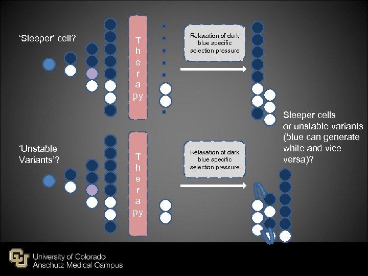 ‘Sleeper’ cell? ‘Unstable Variants’? T h e r a py Relaxation of dark blue