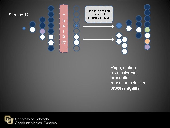 Stem cell? T h e r a py Relaxation of dark blue specific selection