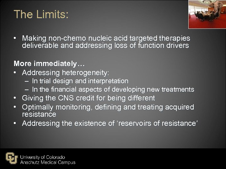 The Limits: • Making non-chemo nucleic acid targeted therapies deliverable and addressing loss of