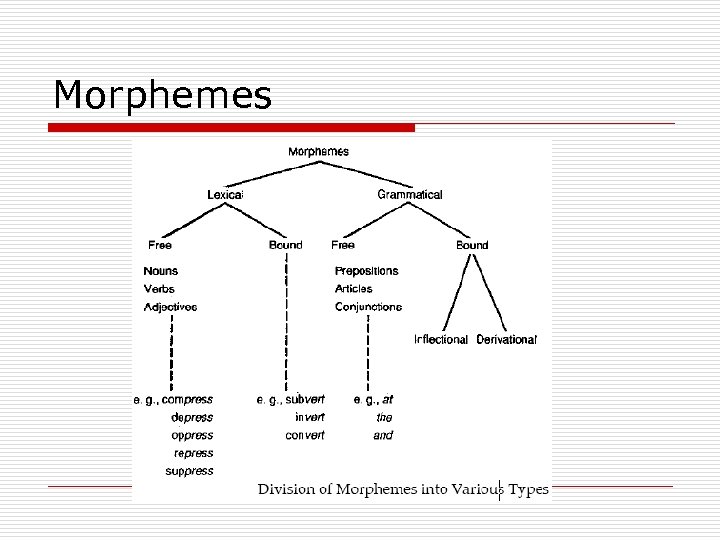 Morphemes 