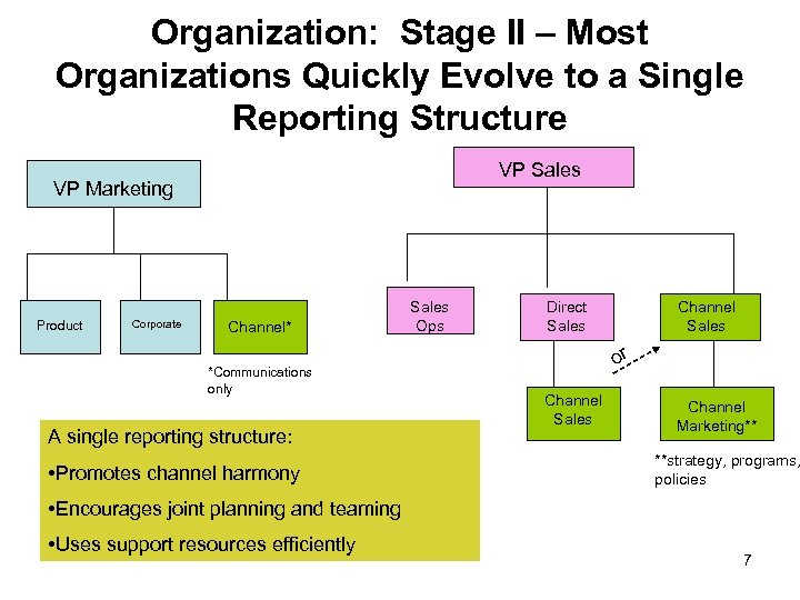 Organization: Stage II – Most Organizations Quickly Evolve to a Single Reporting Structure VP