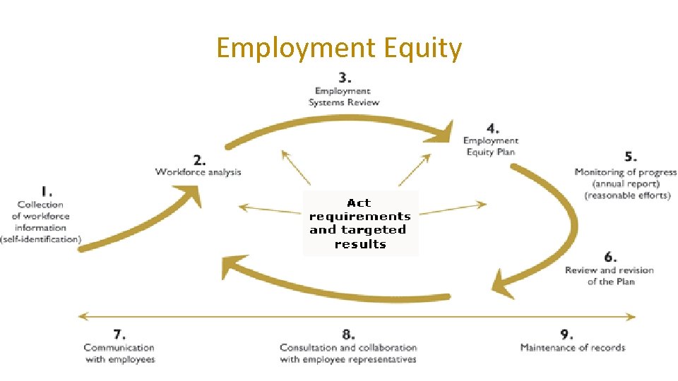 Employment Equity 