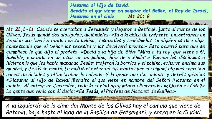 Hosanna al Hijo de David. Bendito el qur viene en nombre del Señor, el