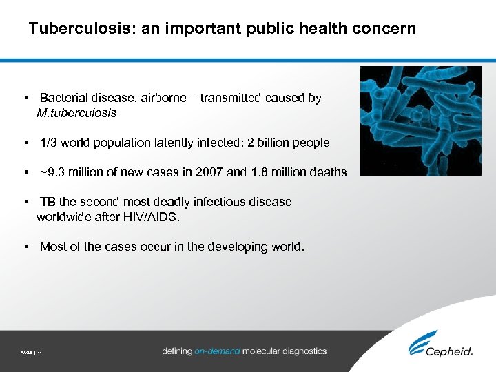 Tuberculosis: an important public health concern • Bacterial disease, airborne – transmitted caused by
