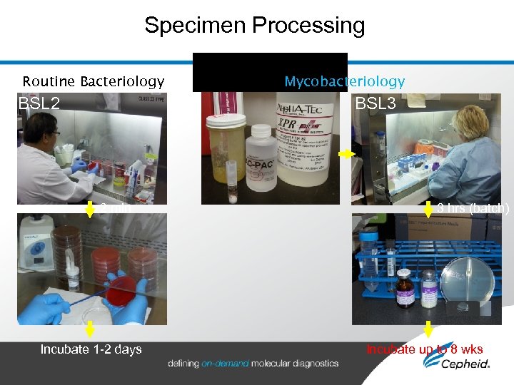 Specimen Processing Routine Bacteriology BSL 2 Mycobacteriology BSL 3 2 min Incubate 1 -2