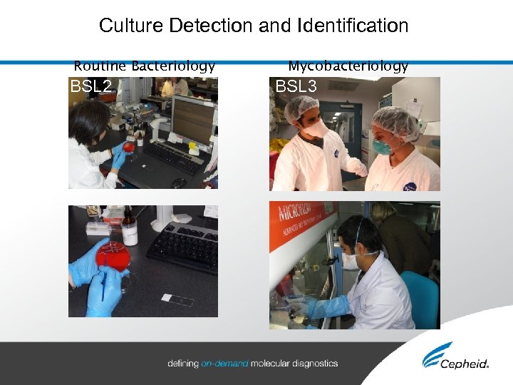 Culture Detection and Identification Routine Bacteriology BSL 2 Mycobacteriology BSL 3 