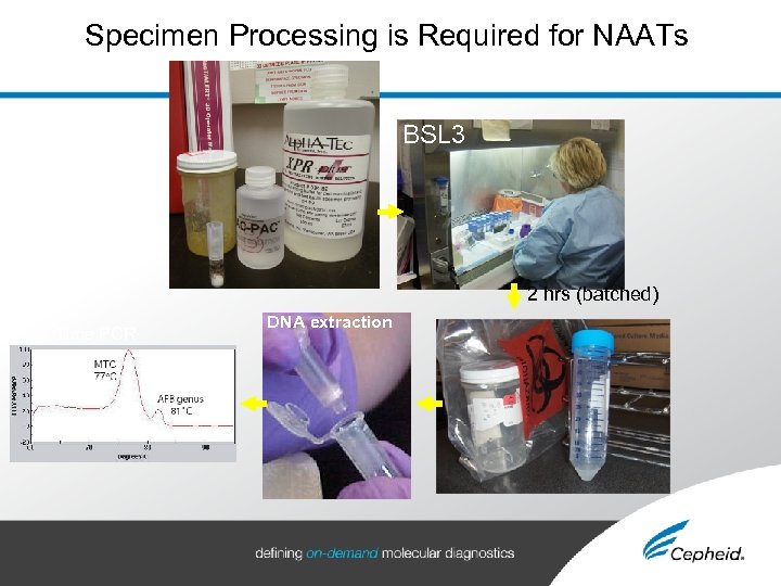 Specimen Processing is Required for NAATs BSL 3 2 hrs (batched) Real-Time PCR DNA