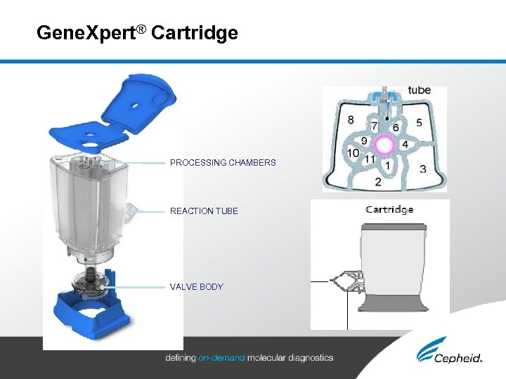 Gene. Xpert® Cartridge PROCESSING CHAMBERS REACTION TUBE VALVE BODY 