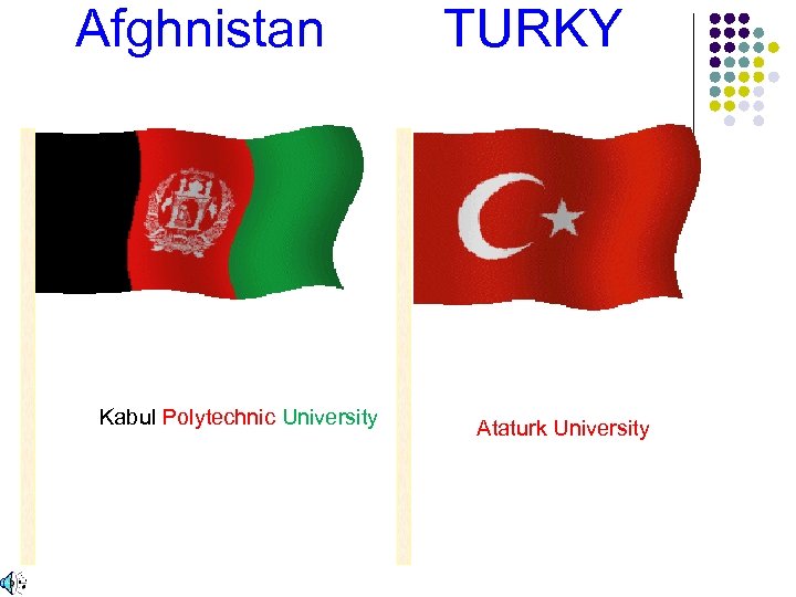  Afghnistan TURKY Kabul Polytechnic University Ataturk University 