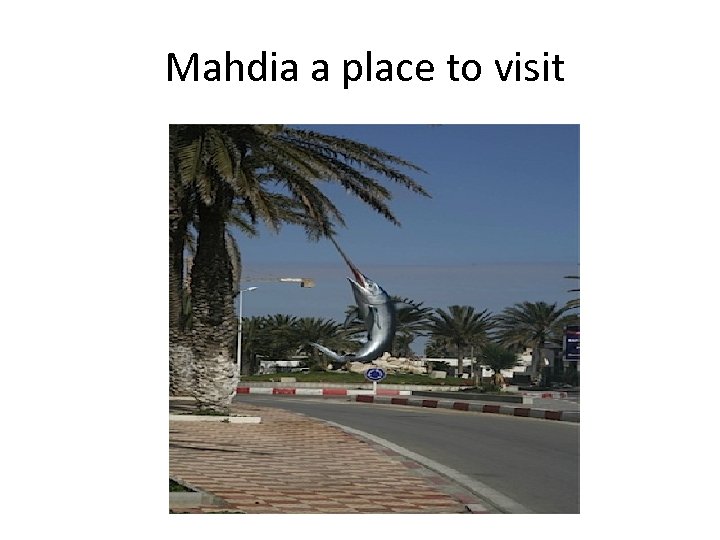  Mahdia a place to visit 