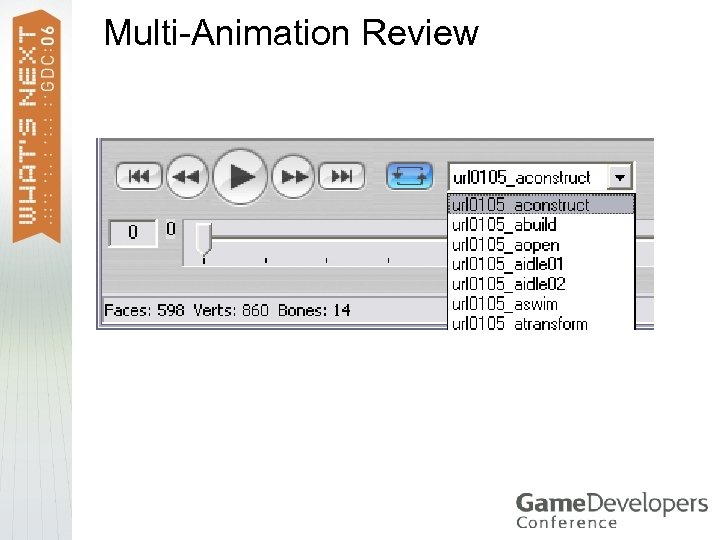 Multi-Animation Review 