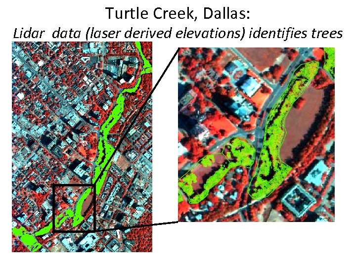 Turtle Creek, Dallas: Lidar data (laser derived elevations) identifies trees • Ground Points 