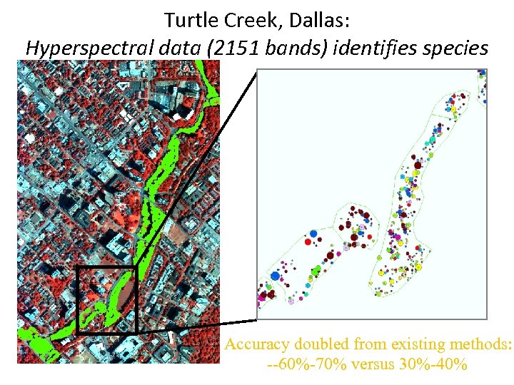 Turtle Creek, Dallas: Hyperspectral data (2151 bands) identifies species • Ground Points Accuracy doubled