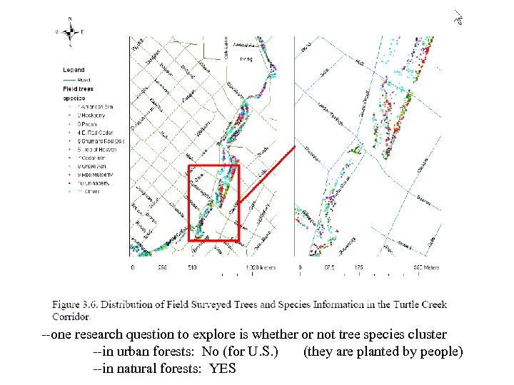 --one research question to explore is whether or not tree species cluster --in urban