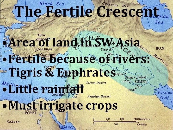 The Fertile Crescent • Area of land in SW Asia • Fertile because of
