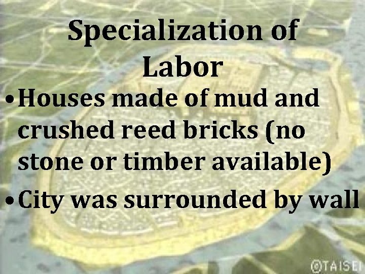 Specialization of Labor • Houses made of mud and crushed reed bricks (no stone