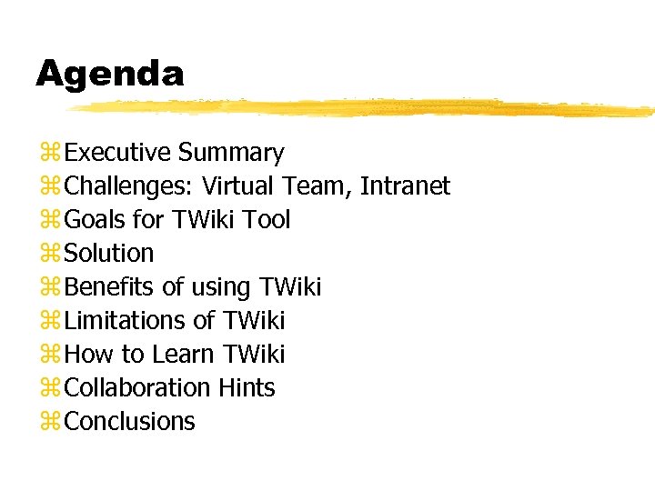 Agenda z Executive Summary z Challenges: Virtual Team, Intranet z Goals for TWiki Tool