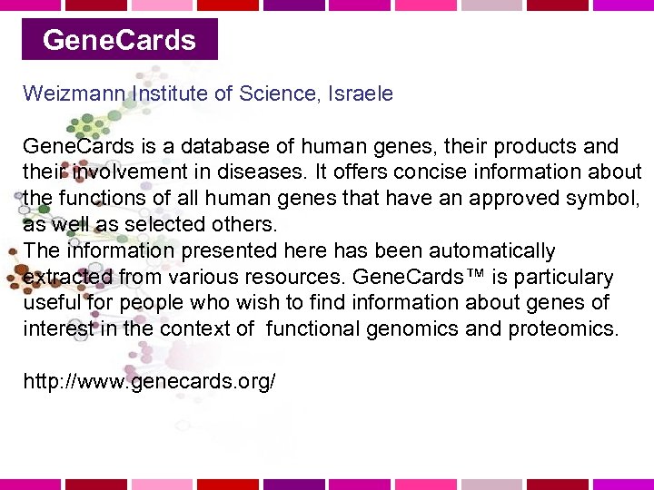 Gene. Cards Weizmann Institute of Science, Israele Gene. Cards is a database of human