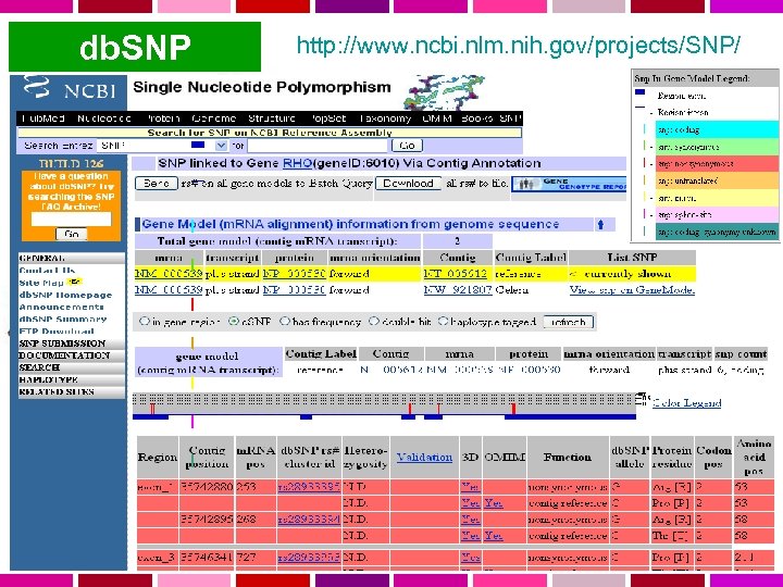 db. SNP http: //www. ncbi. nlm. nih. gov/projects/SNP/ 