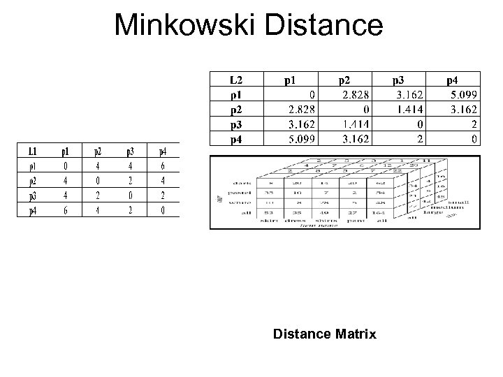 Minkowski Distance Matrix 