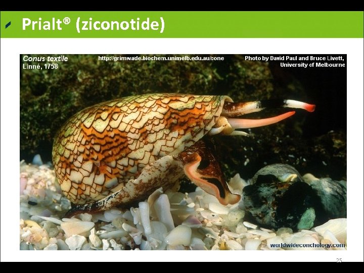 Prialt® (ziconotide) 25 