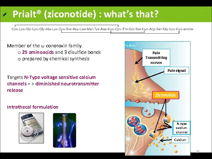 Prialt® (ziconotide) : what’s that? Member of the ω conotoxin family o 25 aminoacids