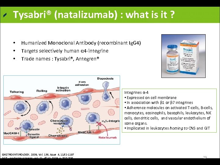 Tysabri® (natalizumab) : what is it ? • • • Humanized Monoclonal Antibody (recombinant