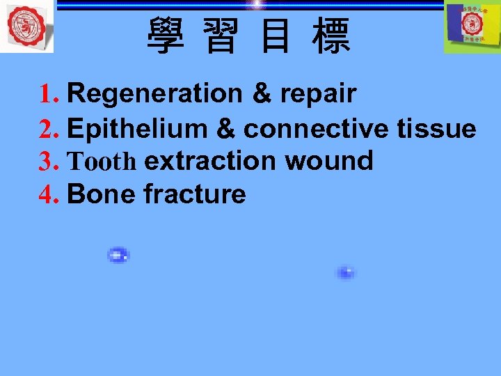 學習目標 1. Regeneration & repair 2. Epithelium & connective tissue 3. Tooth extraction wound