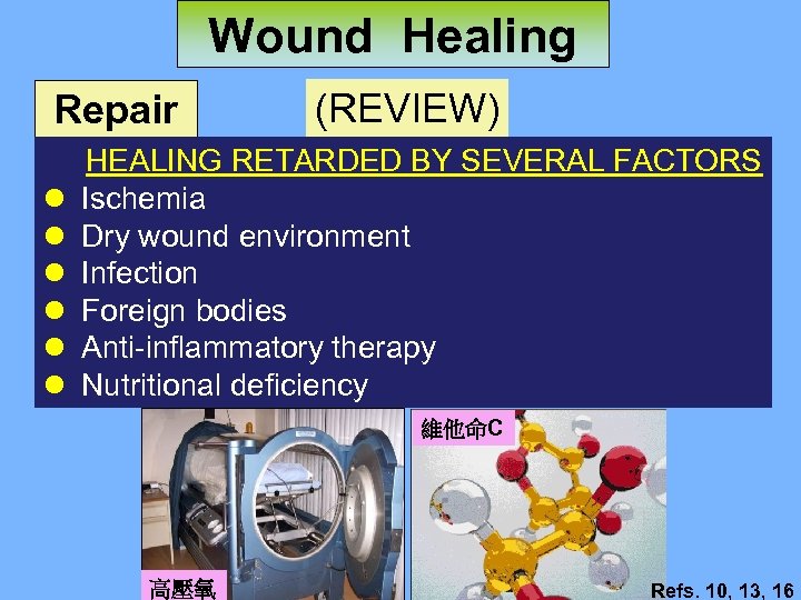 Wound Healing Repair l l l (REVIEW) HEALING RETARDED BY SEVERAL FACTORS Ischemia Dry