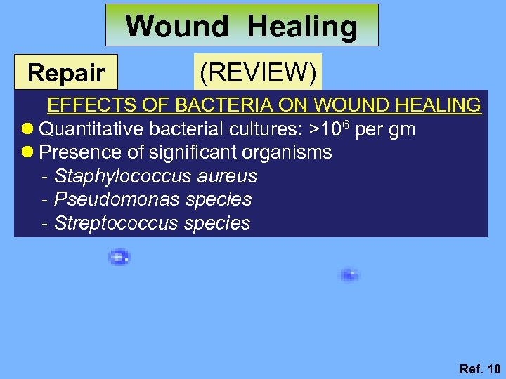 Wound Healing Repair (REVIEW) EFFECTS OF BACTERIA ON WOUND HEALING l Quantitative bacterial cultures: