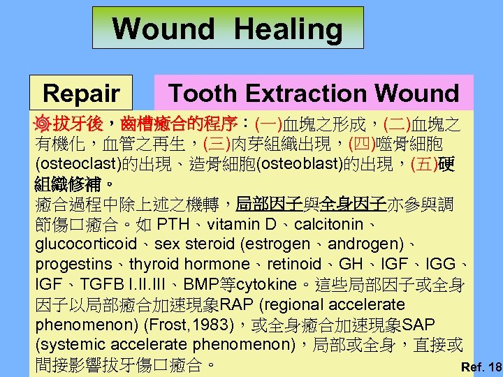 Wound Healing Repair Tooth Extraction Wound 拔牙後，齒槽癒合的程序：(一)血塊之形成，(二)血塊之 有機化，血管之再生，(三)肉芽組織出現，(四)噬骨細胞 (osteoclast)的出現、造骨細胞(osteoblast)的出現，(五)硬 組織修補。 癒合過程中除上述之機轉，局部因子與全身因子亦參與調 節傷口癒合。如 PTH、vitamin D、calcitonin、