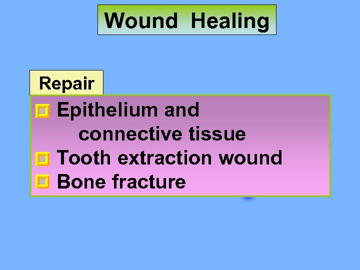 Wound Healing Repair Epithelium and connective tissue Tooth extraction wound Bone fracture 