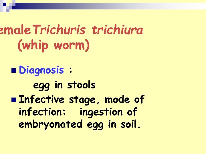 emale. Trichuris trichiura (whip worm) n Diagnosis : egg in stools n Infective stage,