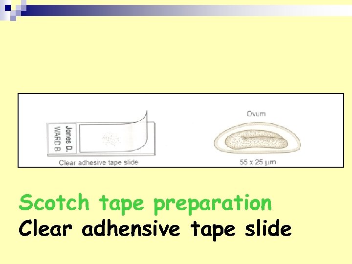 Scotch tape preparation Clear adhensive tape slide 