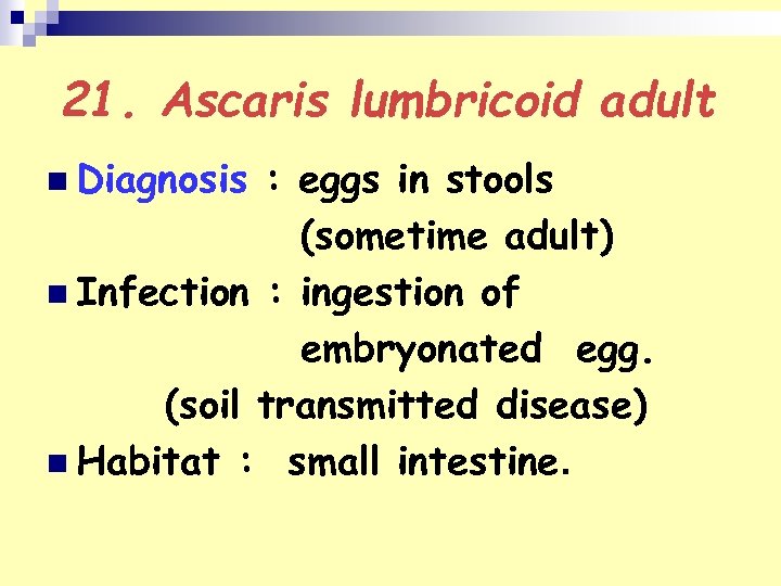 21. Ascaris lumbricoid adult n Diagnosis : eggs in stools (sometime adult) n Infection