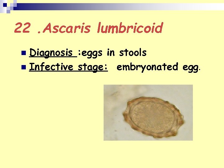 22. Ascaris lumbricoid Diagnosis : eggs in stools n Infective stage: embryonated egg. n