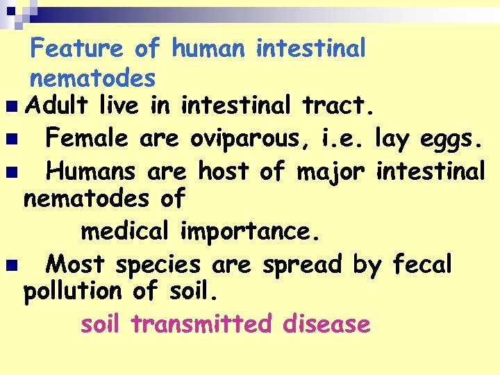 Feature of human intestinal nematodes n Adult live in intestinal tract. n Female are