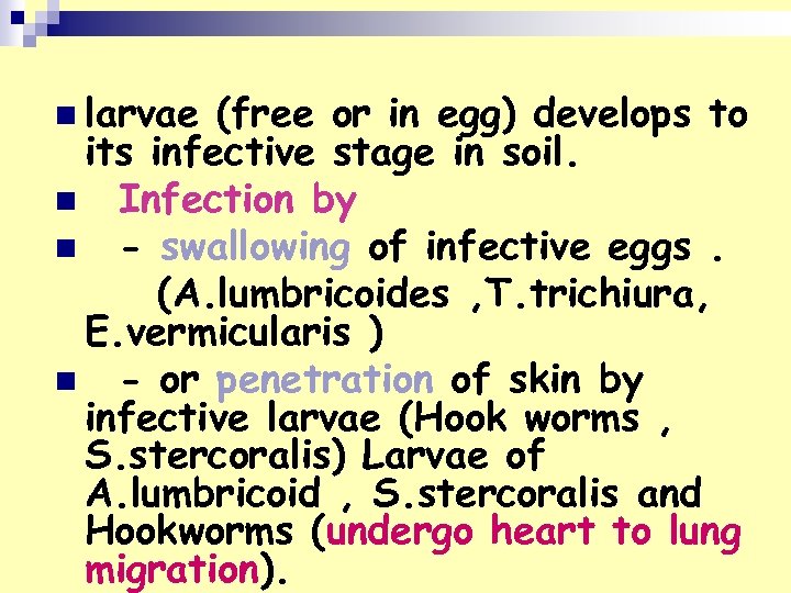 n larvae (free or in egg) develops to its infective stage in soil. n