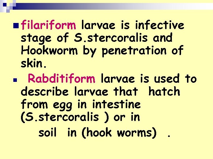 n filariform larvae is infective stage of S. stercoralis and Hookworm by penetration of