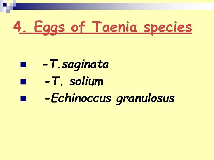 4. Eggs of Taenia species n n n -T. saginata -T. solium -Echinoccus granulosus
