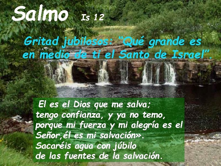 Salmo Is 12 Gritad jubilosos: “Qué grande es en medio de ti el Santo