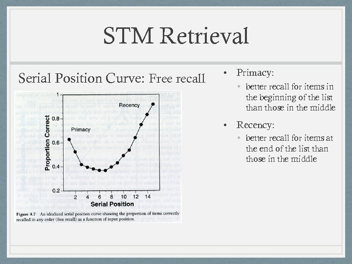 STM Retrieval Serial Position Curve: Free recall • Primacy: • better recall for items