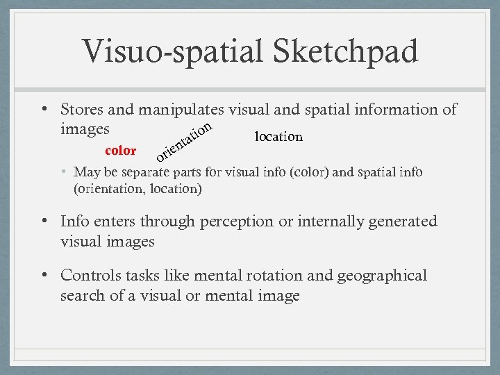 Visuo-spatial Sketchpad • Stores and manipulates visual and spatial information of n images tio