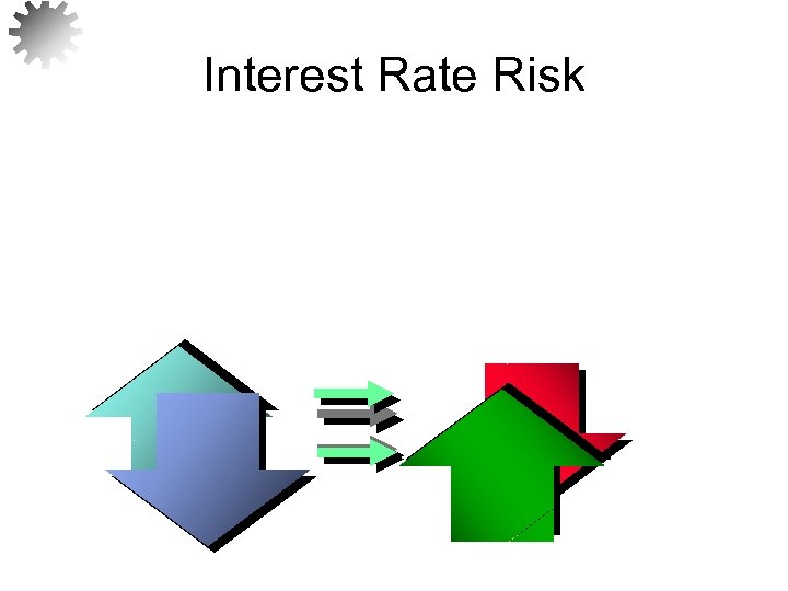 Interest Rate Risk 