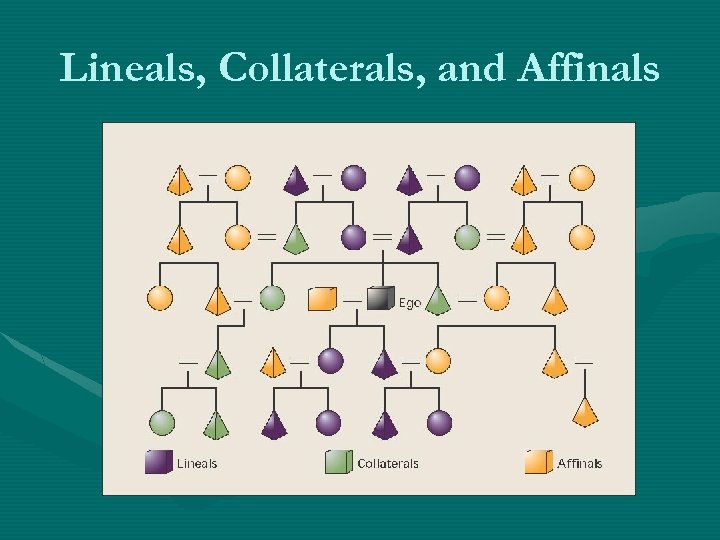 Lineals, Collaterals, and Affinals 