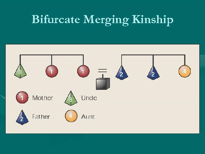 Bifurcate Merging Kinship 