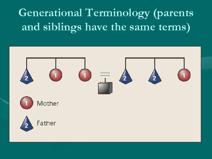 Generational Terminology (parents and siblings have the same terms) 